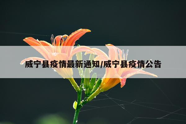 威宁县疫情最新通知/威宁县疫情公告