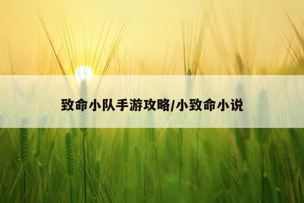 致命小队手游攻略/小致命小说