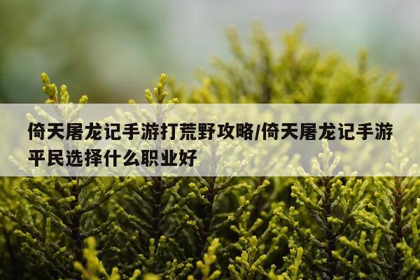 倚天屠龙记手游打荒野攻略/倚天屠龙记手游平民选择什么职业好