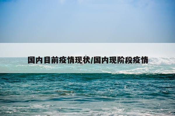 国内目前疫情现状/国内现阶段疫情