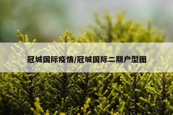 冠城国际疫情/冠城国际二期户型图