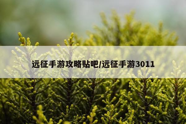 远征手游攻略贴吧/远征手游3011