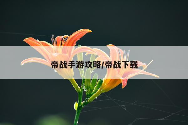 帝战手游攻略/帝战下载