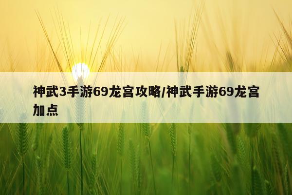神武3手游69龙宫攻略/神武手游69龙宫加点