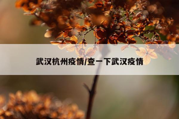 武汉杭州疫情/查一下武汉疫情