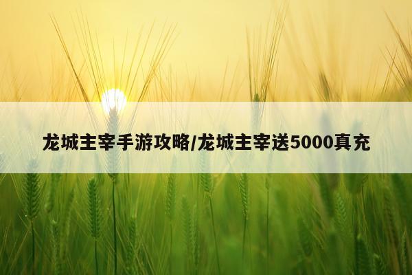 龙城主宰手游攻略/龙城主宰送5000真充