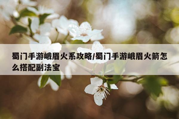 蜀门手游峨眉火系攻略/蜀门手游峨眉火箭怎么搭配副法宝
