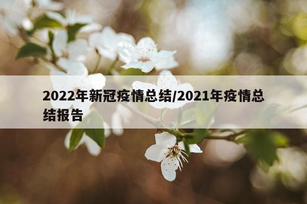 2022年新冠疫情总结/2021年疫情总结报告