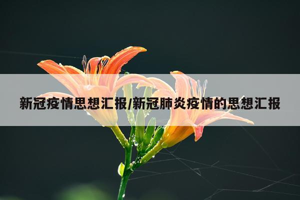 新冠疫情思想汇报/新冠肺炎疫情的思想汇报