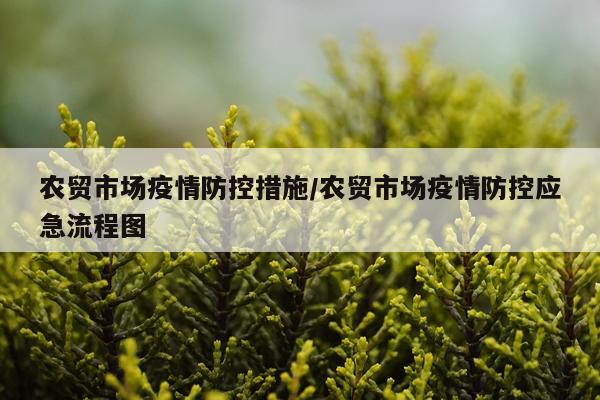 农贸市场疫情防控措施/农贸市场疫情防控应急流程图