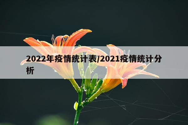 2022年疫情统计表/2021疫情统计分析