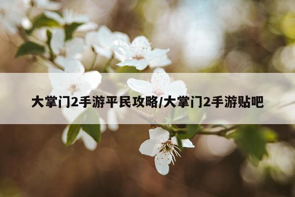 大掌门2手游平民攻略/大掌门2手游贴吧