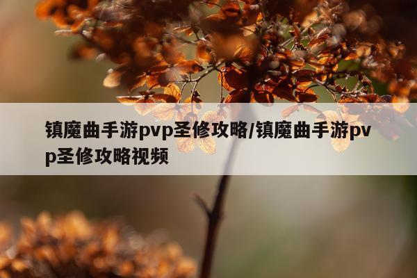 镇魔曲手游pvp圣修攻略/镇魔曲手游pvp圣修攻略视频
