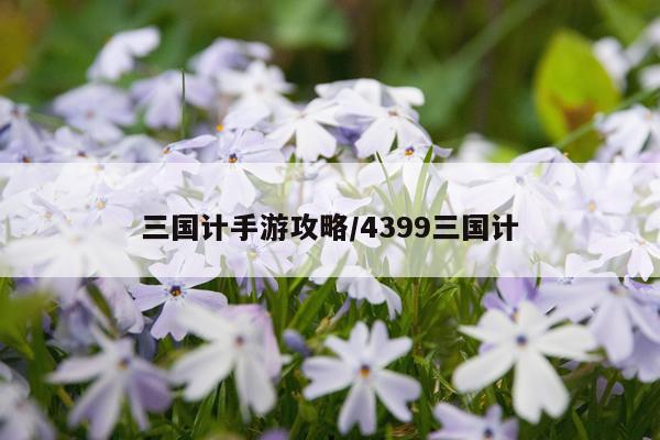 三国计手游攻略/4399三国计