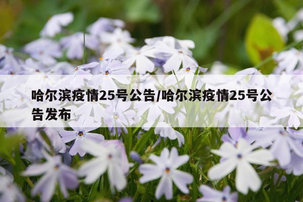 哈尔滨疫情25号公告/哈尔滨疫情25号公告发布