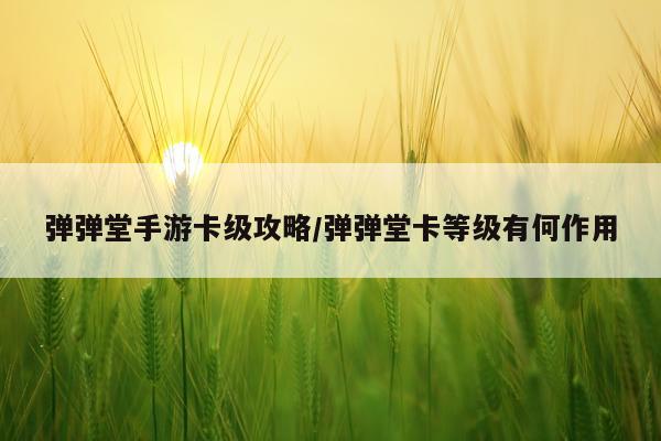 弹弹堂手游卡级攻略/弹弹堂卡等级有何作用