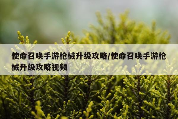 使命召唤手游枪械升级攻略/使命召唤手游枪械升级攻略视频