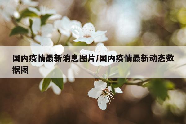 国内疫情最新消息图片/国内疫情最新动态数据图