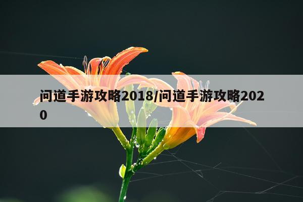 问道手游攻略2018/问道手游攻略2020