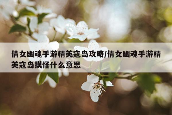 倩女幽魂手游精英寇岛攻略/倩女幽魂手游精英寇岛摸怪什么意思