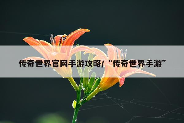 传奇世界官网手游攻略/“传奇世界手游”