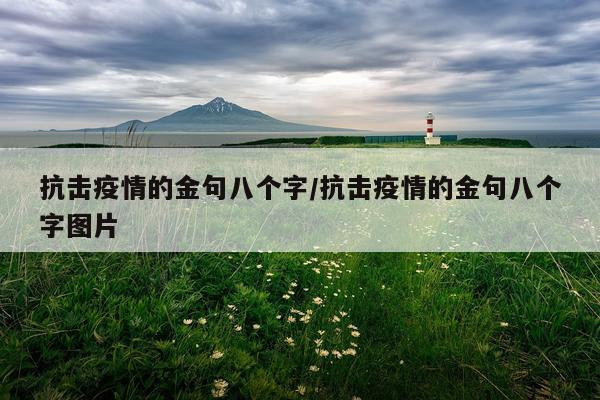 抗击疫情的金句八个字/抗击疫情的金句八个字图片