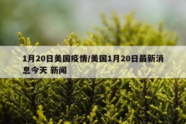 1月20日美国疫情/美国1月20日最新消息今天 新闻