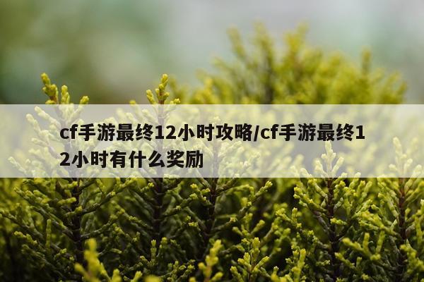 cf手游最终12小时攻略/cf手游最终12小时有什么奖励