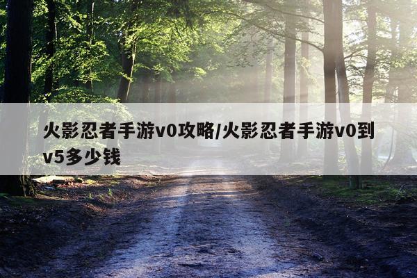 火影忍者手游v0攻略/火影忍者手游v0到v5多少钱
