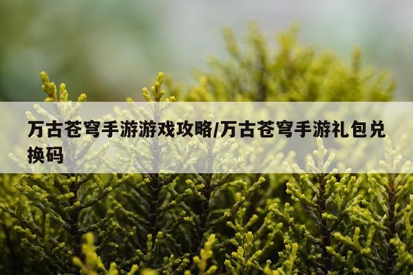 万古苍穹手游游戏攻略/万古苍穹手游礼包兑换码