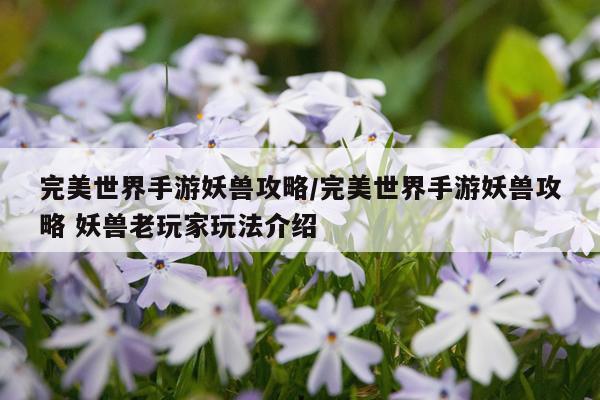 完美世界手游妖兽攻略/完美世界手游妖兽攻略 妖兽老玩家玩法介绍