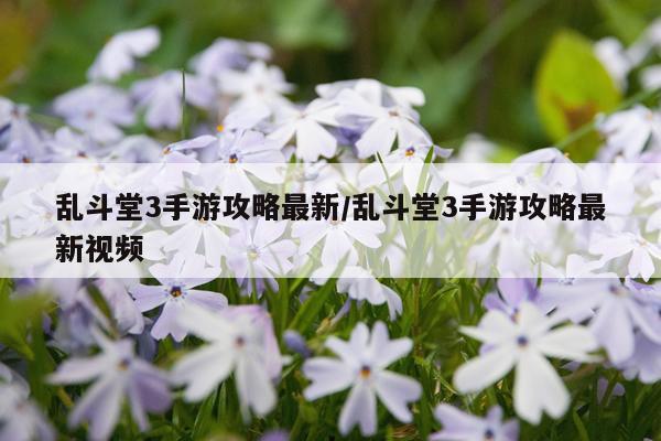 乱斗堂3手游攻略最新/乱斗堂3手游攻略最新视频