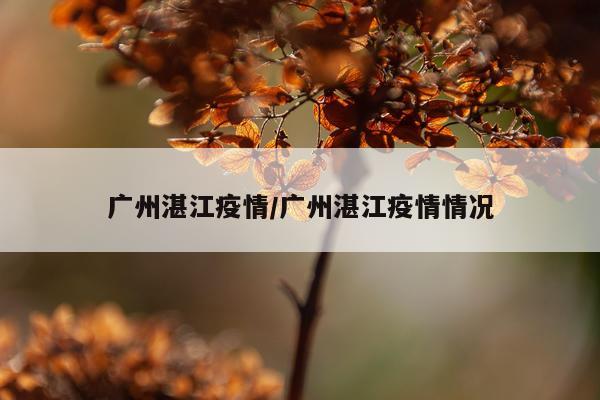 广州湛江疫情/广州湛江疫情情况