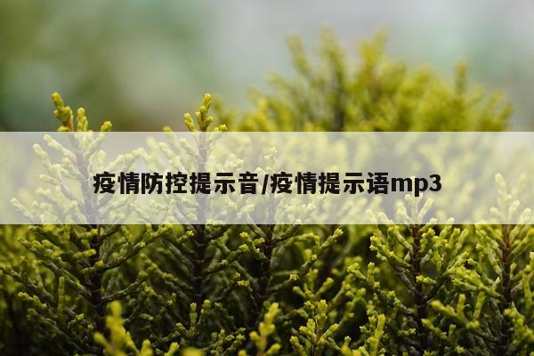 疫情防控提示音/疫情提示语mp3