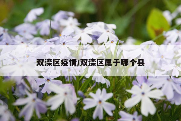 双滦区疫情/双滦区属于哪个县