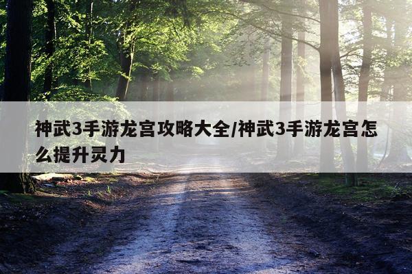 神武3手游龙宫攻略大全/神武3手游龙宫怎么提升灵力