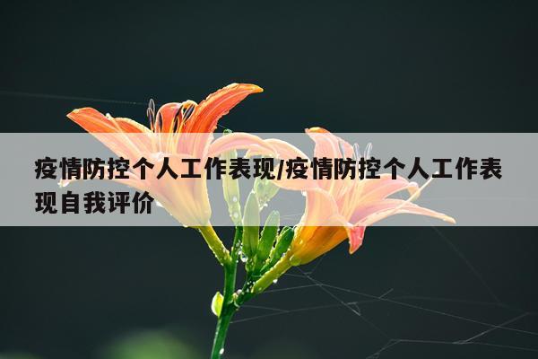 疫情防控个人工作表现/疫情防控个人工作表现自我评价