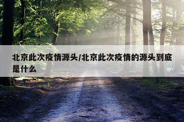北京此次疫情源头/北京此次疫情的源头到底是什么
