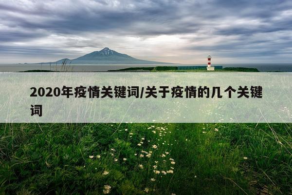 2020年疫情关键词/关于疫情的几个关键词