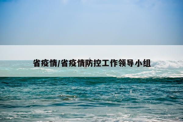 省疫情/省疫情防控工作领导小组
