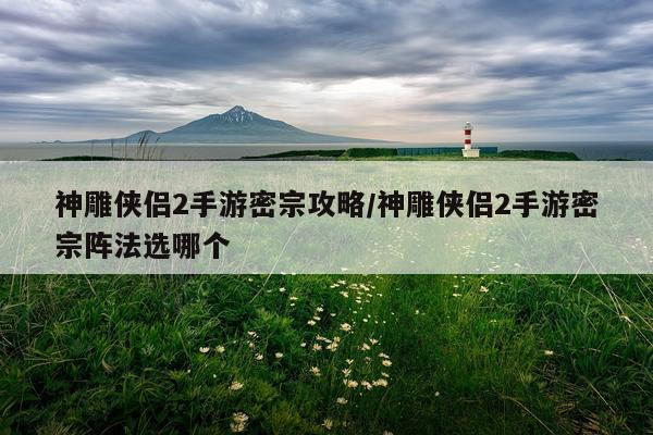 神雕侠侣2手游密宗攻略/神雕侠侣2手游密宗阵法选哪个
