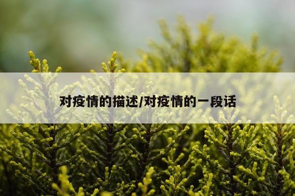 对疫情的描述/对疫情的一段话