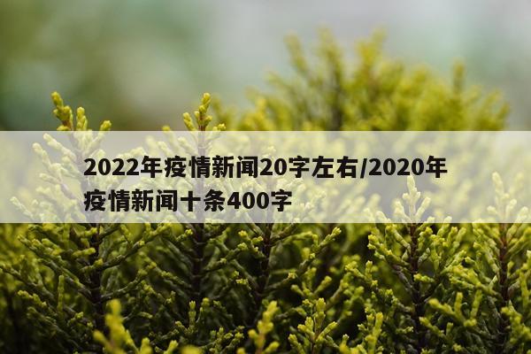 2022年疫情新闻20字左右/2020年疫情新闻十条400字