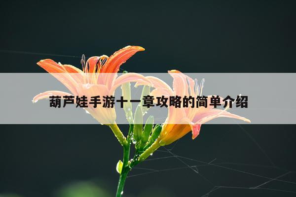 葫芦娃手游十一章攻略的简单介绍