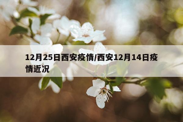 12月25日西安疫情/西安12月14日疫情近况
