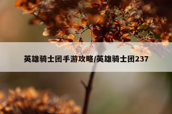 英雄骑士团手游攻略/英雄骑士团237