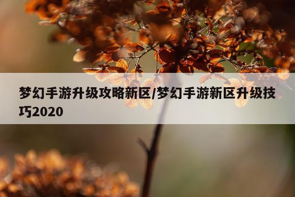 梦幻手游升级攻略新区/梦幻手游新区升级技巧2020