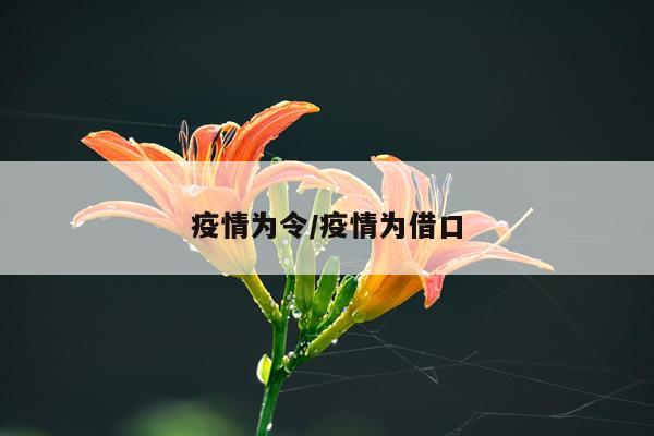 疫情为令/疫情为借口