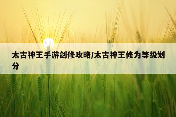 太古神王手游剑修攻略/太古神王修为等级划分