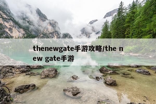 thenewgate手游攻略/the new gate手游